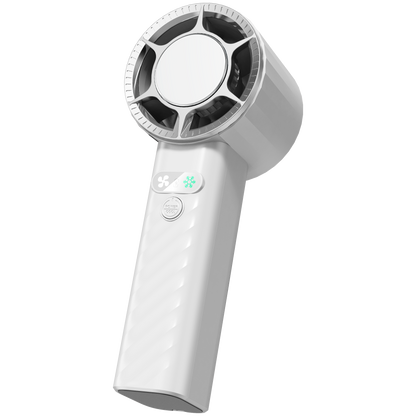 Small fan appliance F19