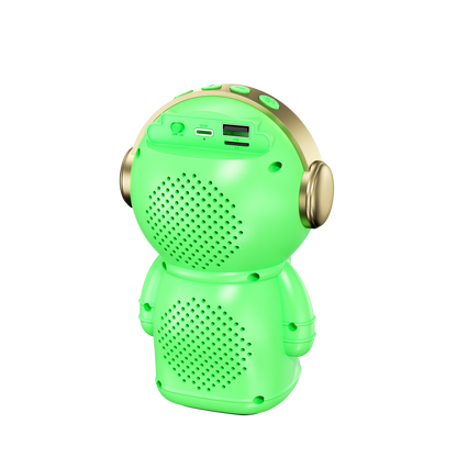 AUDSP-09