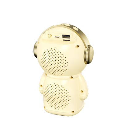 AUDSP-09